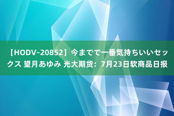 【HODV-20852】今までで一番気持ちいいセックス 望月あゆみ 光大期货：7月23日软商品日报