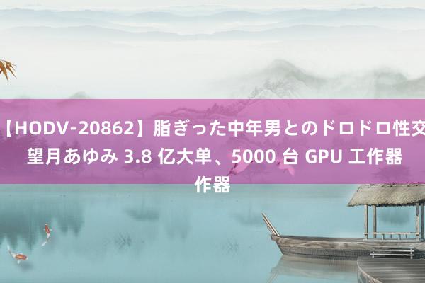 【HODV-20862】脂ぎった中年男とのドロドロ性交 望月あゆみ 3.8 亿大单、5000 台 GPU 工作器