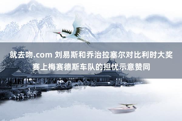 就去吻.com 刘易斯和乔治拉塞尔对比利时大奖赛上梅赛德斯车队的担忧示意赞同