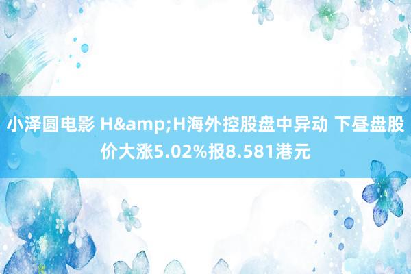 小泽圆电影 H&H海外控股盘中异动 下昼盘股价大涨5.02%报8.581港元