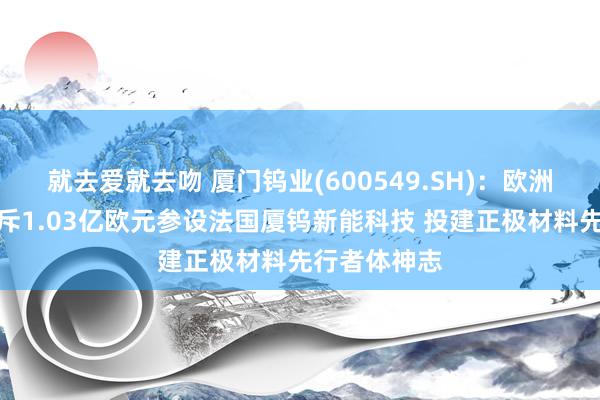 就去爱就去吻 厦门钨业(600549.SH)：欧洲厦钨新能拟斥1.03亿欧元参设法国厦钨新能科技 投建正极材料先行者体神志