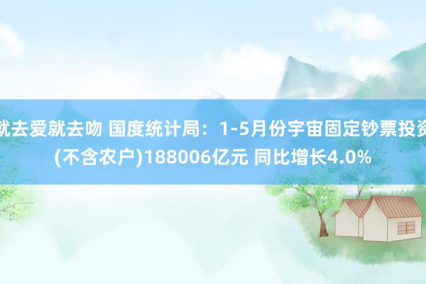 就去爱就去吻 国度统计局：1-5月份宇宙固定钞票投资(不含农户)188006亿元 同比增长4.0%