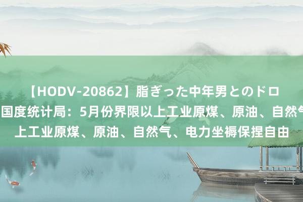 【HODV-20862】脂ぎった中年男とのドロドロ性交 望月あゆみ 国度统计局：5月份界限以上工业原煤、原油、自然气、电力坐褥保捏自由