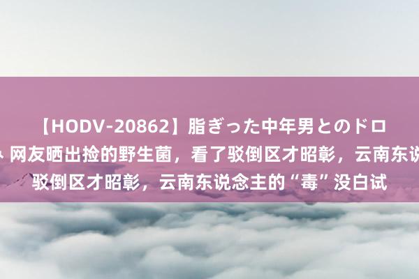 【HODV-20862】脂ぎった中年男とのドロドロ性交 望月あゆみ 网友晒出捡的野生菌，看了驳倒区才昭彰，云南东说念主的“毒”没白试