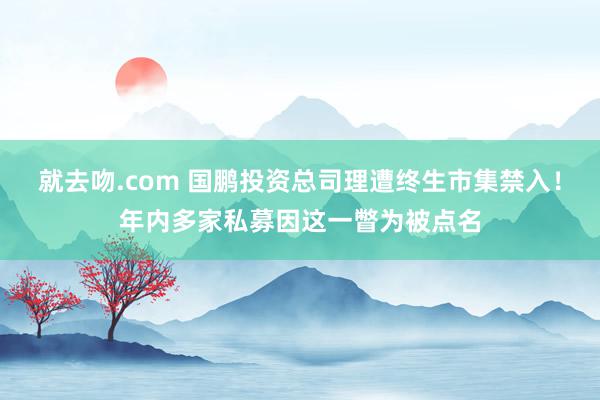 就去吻.com 国鹏投资总司理遭终生市集禁入！年内多家私募因这一瞥为被点名