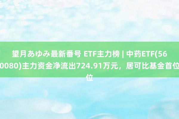 望月あゆみ最新番号 ETF主力榜 | 中药ETF(560080)主力资金净流出724.91万元，居可比基金首位