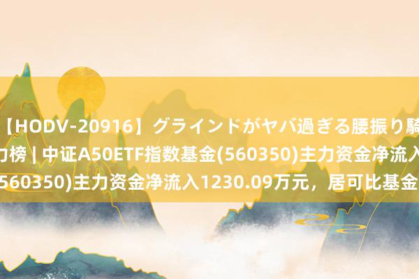 【HODV-20916】グラインドがヤバ過ぎる腰振り騎乗位 4時間 ETF主力榜 | 中证A50ETF指数基金(560350)主力资金净流入1230.09万元，居可比基金前2