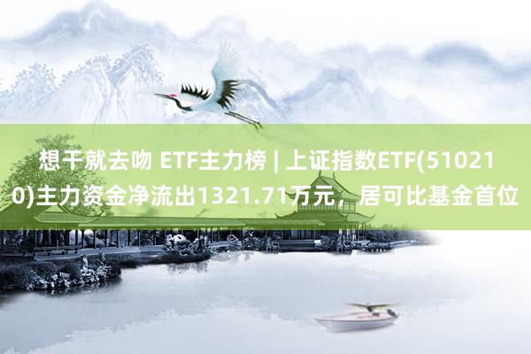 想干就去吻 ETF主力榜 | 上证指数ETF(510210)主力资金净流出1321.71万元，居可比基金首位