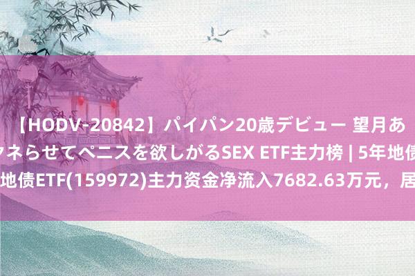 【HODV-20842】パイパン20歳デビュー 望月あゆみ 8頭身ボディをクネらせてペニスを欲しがるSEX ETF主力榜 | 5年地债ETF(159972)主力资金净流入7682.63万元，居全商场第一梯队