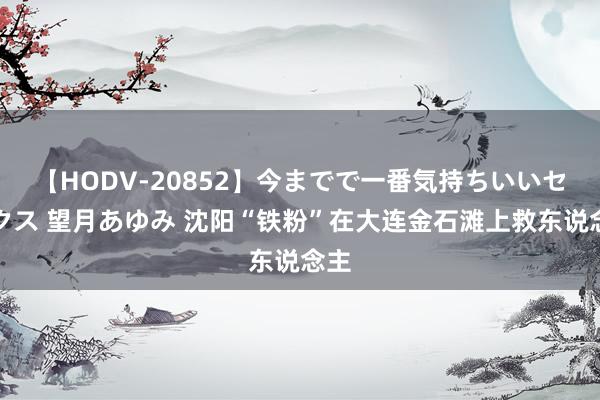 【HODV-20852】今までで一番気持ちいいセックス 望月あゆみ 沈阳“铁粉”在大连金石滩上救东说念主