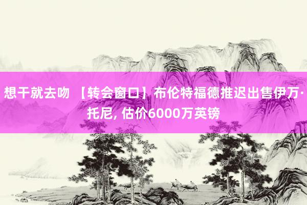 想干就去吻 【转会窗口】布伦特福德推迟出售伊万·托尼, 估价6000万英镑