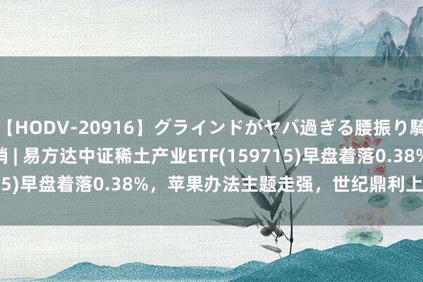 【HODV-20916】グラインドがヤバ過ぎる腰振り騎乗位 4時間 ETF最前哨 | 易方达中证稀土产业ETF(159715)早盘着落0.38%，苹果办法主题走强，世纪鼎利上升19.9%