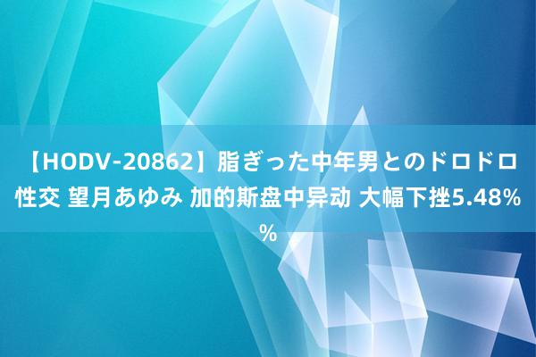 【HODV-20862】脂ぎった中年男とのドロドロ性交 望月あゆみ 加的斯盘中异动 大幅下挫5.48%