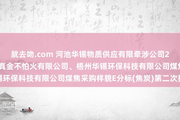 就去吻.com 河池华锡物质供应有限牵涉公司2024年客东谈主华锡冶真金不怕火有限公司、梧州华锡环保科技有限公司煤焦采购样貌E分标(焦炭)第二次招标