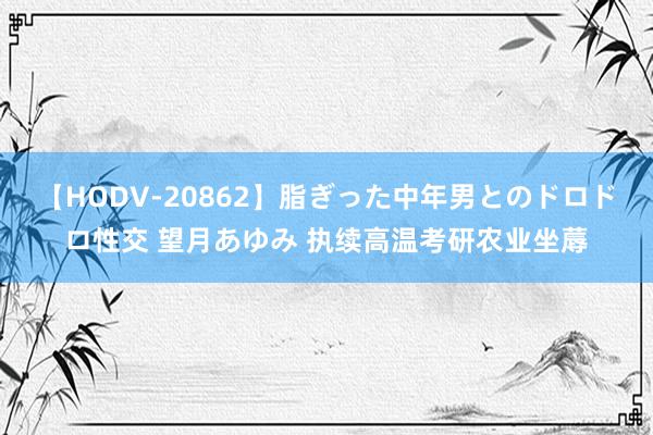 【HODV-20862】脂ぎった中年男とのドロドロ性交 望月あゆみ 执续高温考研农业坐蓐