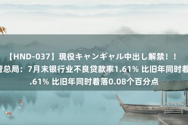 【HND-037】現役キャンギャル中出し解禁！！ ASUKA 金融监管总局：7月末银行业不良贷款率1.61% 比旧年同时着落0.08个百分点