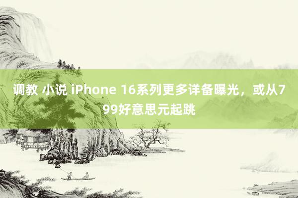 调教 小说 iPhone 16系列更多详备曝光，或从799好意思元起跳