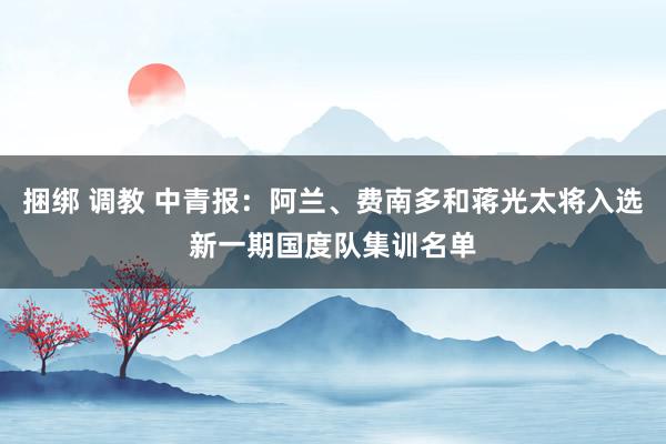 捆绑 调教 中青报：阿兰、费南多和蒋光太将入选新一期国度队集训名单