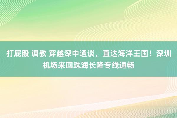 打屁股 调教 穿越深中通谈，直达海洋王国！深圳机场来回珠海长隆专线通畅