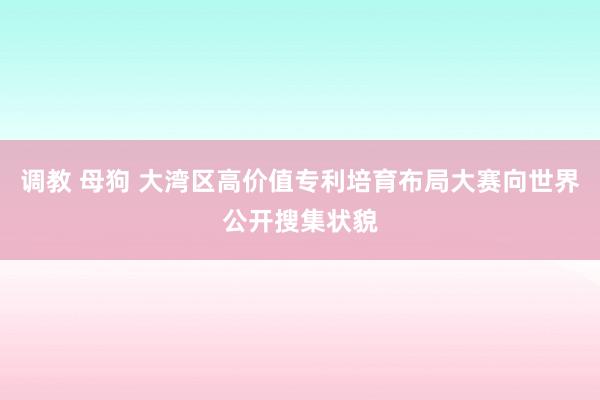 调教 母狗 大湾区高价值专利培育布局大赛向世界公开搜集状貌