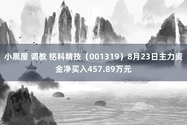 小黑屋 调教 铭科精技（001319）8月23日主力资金净买入457.89万元