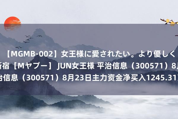 【MGMB-002】女王様に愛されたい。より優しく、よりいやらしく。 新宿［Mヤプー］ JUN女王様 平治信息（300571）8月23日主力资金净买入1245.31万元