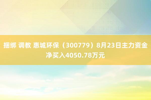 捆绑 调教 惠城环保（300779）8月23日主力资金净买入4050.78万元