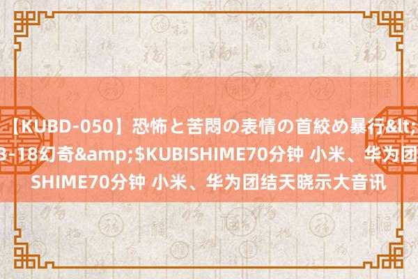 【KUBD-050】恐怖と苦悶の表情の首絞め暴行</a>2013-03-18幻奇&$KUBISHIME70分钟 小米、华为团结天晓示大音讯